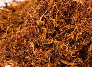 Cut filler tobacco: From leaf to luxury product
